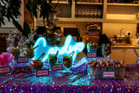 Sadie Party (11)