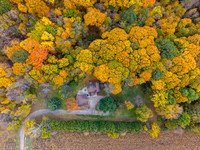 DJI_20251017123546_0544_D-HDR