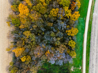 DJI_20251028153025_0011_D