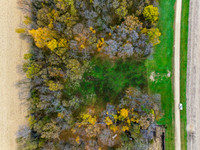 DJI_20251028153010_0008_D