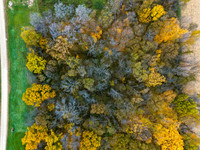 DJI_20251028153318_0041_D