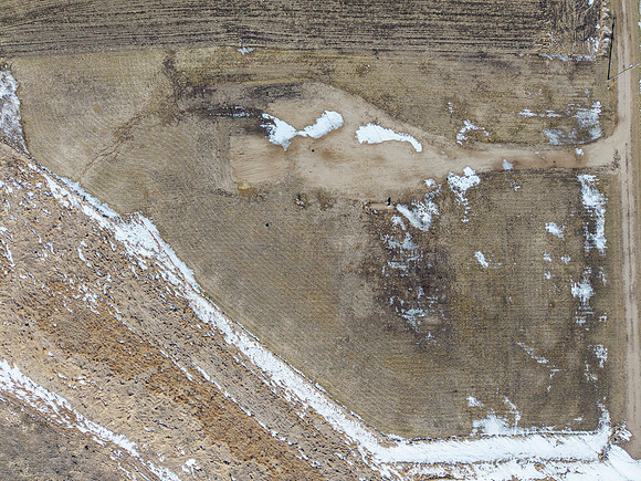 DJI_20260211125633_0364_D