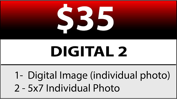 Crimson Digital 2