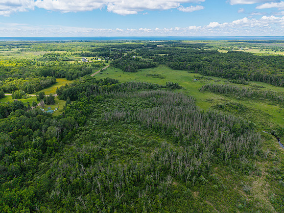 DJI_20260625125056_0015_D