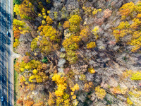 DJI_20261020160753_0071_D