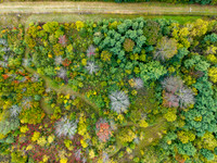 DJI_20260925170848_0749_D
