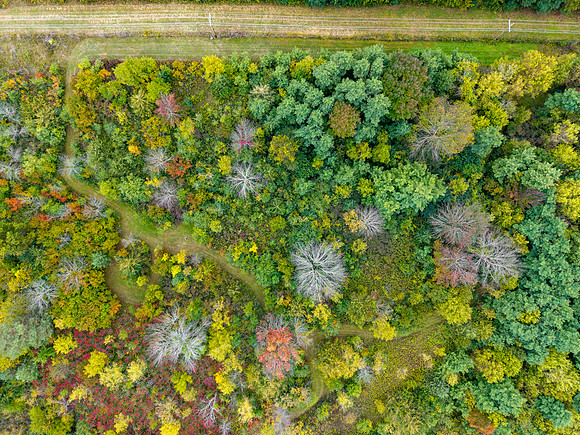 DJI_20260925170848_0749_D