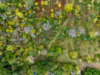 DJI_20260925170830_0748_D