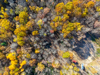 DJI_20261020160800_0072_D