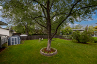 IMG_6877-HDR-Edit