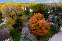 4928 Poppy Lane Drone