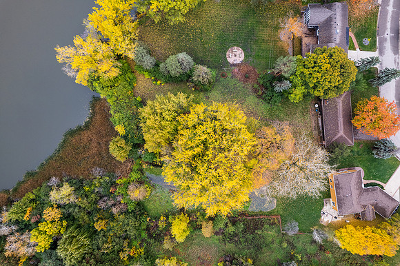 DJI_0479