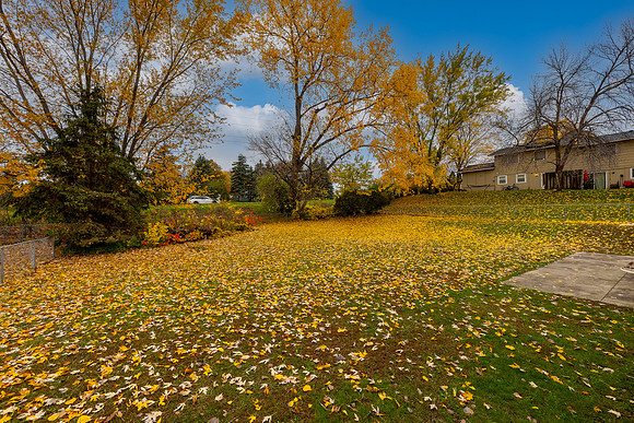 IMG_2932-HDR-Edit
