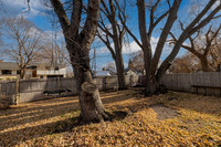 IMG_9286-HDR-Edit