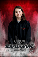 Olson Name