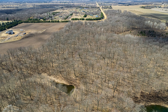 DJI_0979