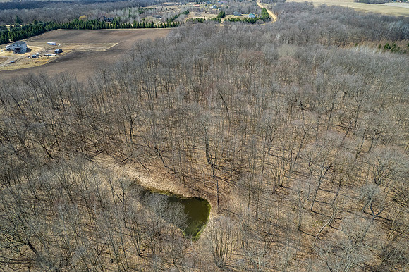 DJI_0984