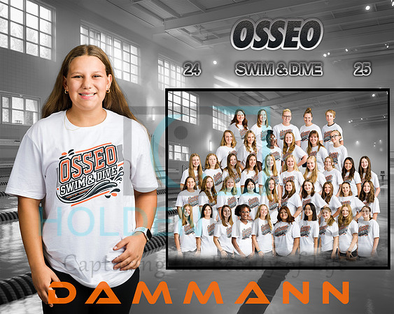 dammann (2)