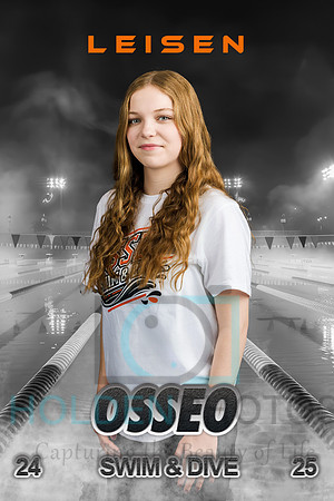 Leisen 8