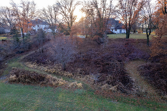 DJI_0223-HDR