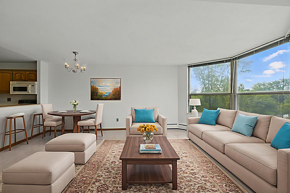 Photo_006 - Living Room - Standard - 40