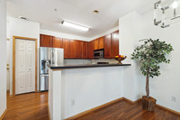 HT8A6444