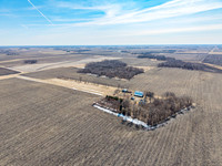 DJI_20250311123659_0174_D