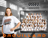 Drouillard