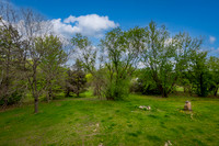 IMG_6206-HDR-Edit