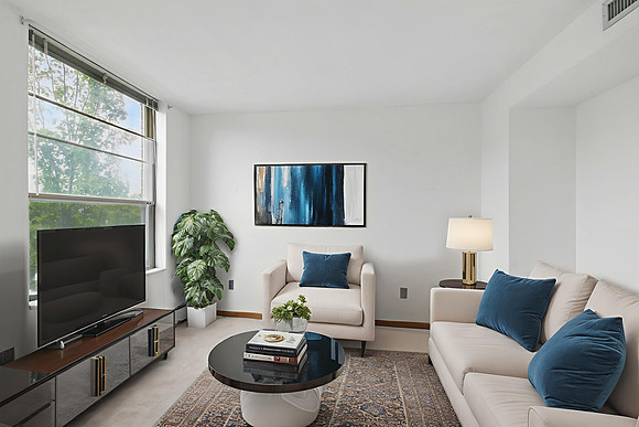 Photo_003 - Living Room - Standard - 12
