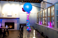 Sadie Party (2)
