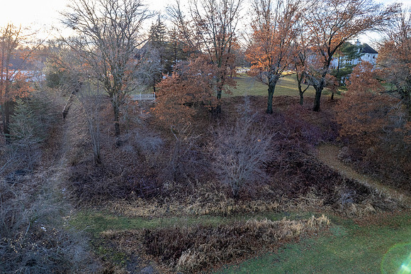 DJI_0220-HDR